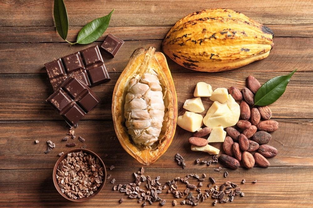 Cocoa Farmers